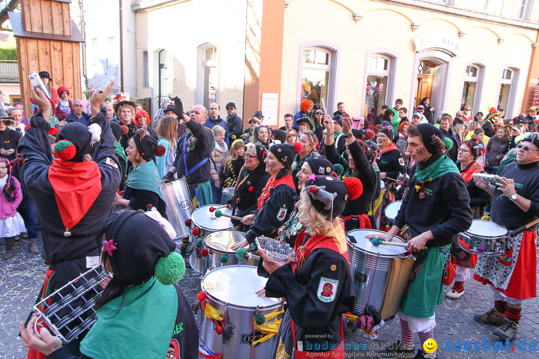 Narrensprung - Narrenbaumsetzen: Meersburg am Bodensee, 23.02.2014