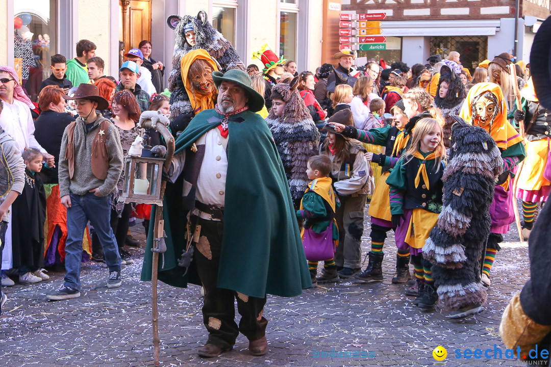 Narrensprung - Narrenbaumsetzen: Meersburg am Bodensee, 23.02.2014