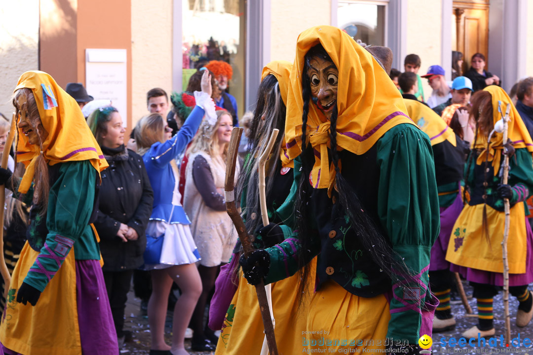 Narrensprung - Narrenbaumsetzen: Meersburg am Bodensee, 23.02.2014