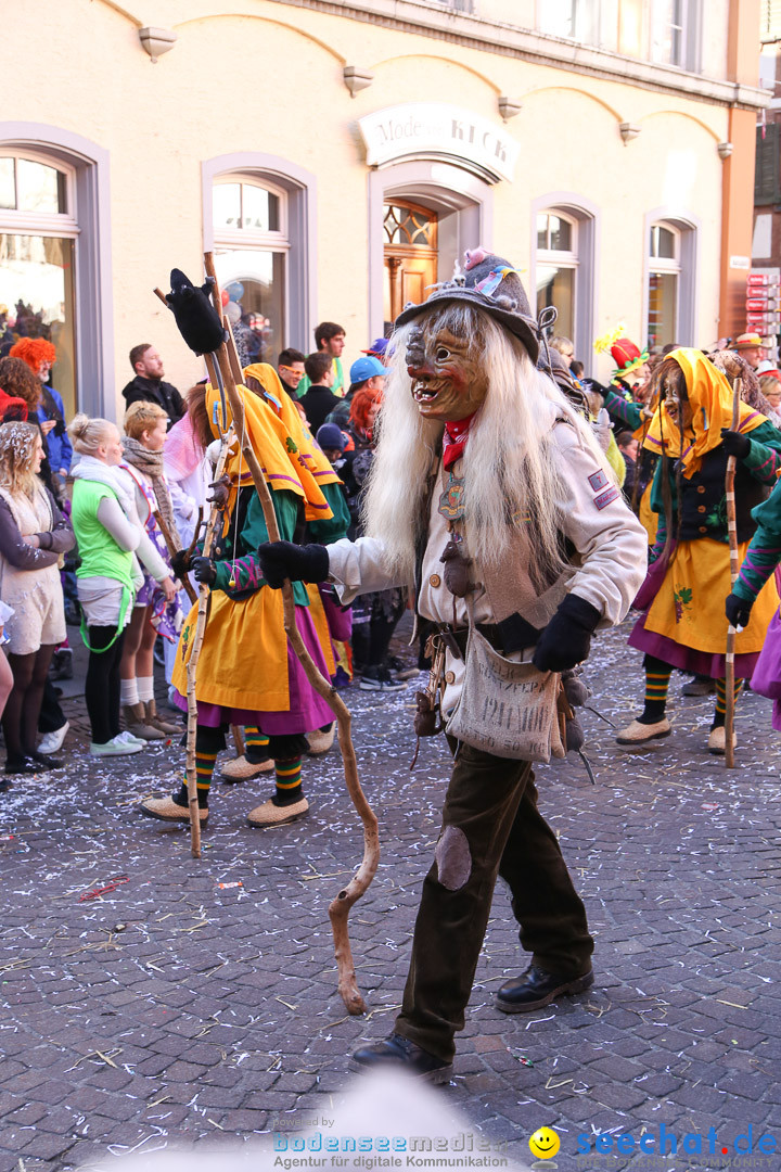 Narrensprung - Narrenbaumsetzen: Meersburg am Bodensee, 23.02.2014