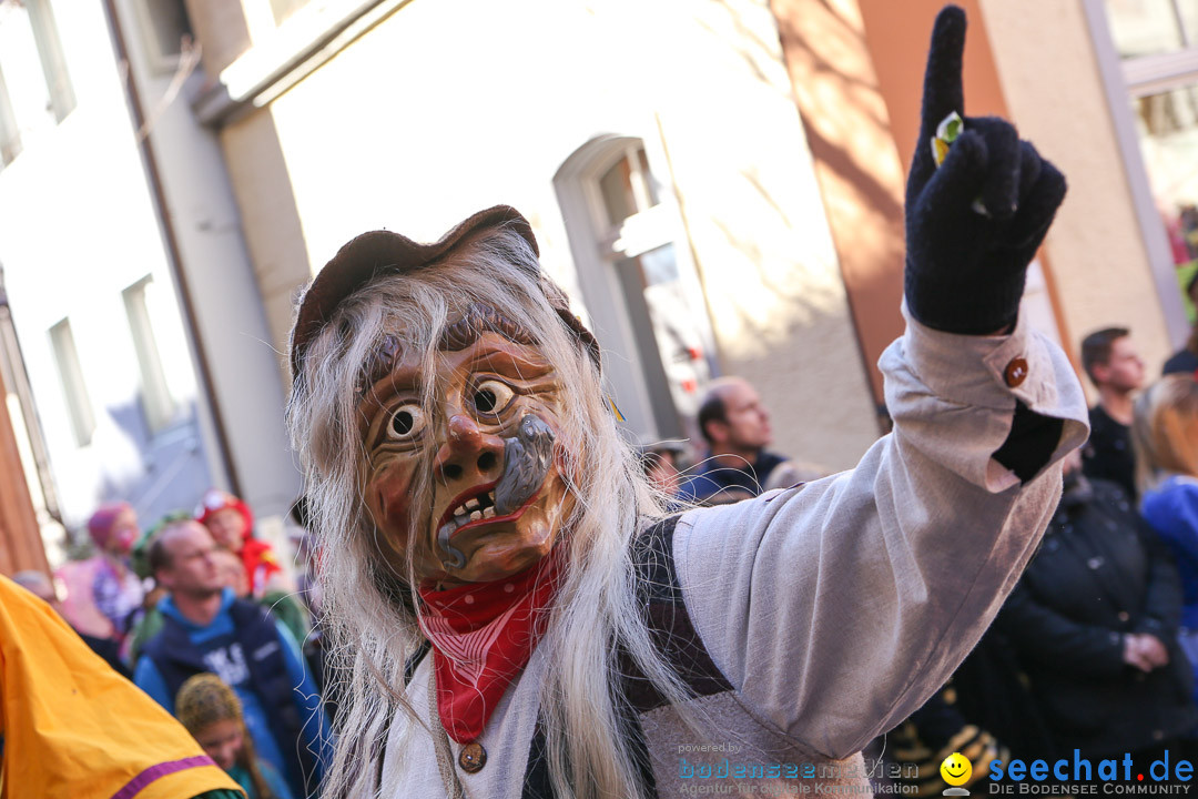 Narrensprung - Narrenbaumsetzen: Meersburg am Bodensee, 23.02.2014