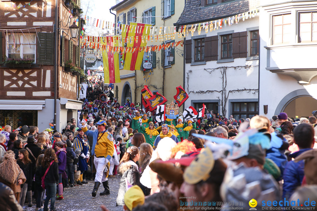 Narrensprung - Narrenbaumsetzen: Meersburg am Bodensee, 23.02.2014