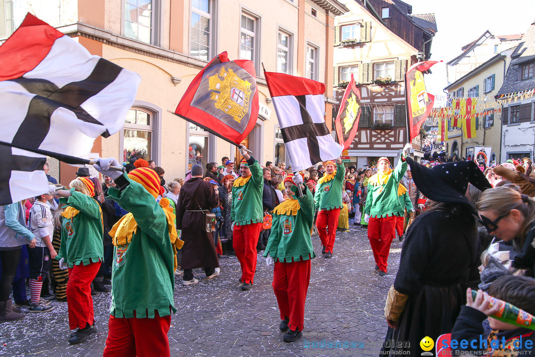 Narrensprung - Narrenbaumsetzen: Meersburg am Bodensee, 23.02.2014