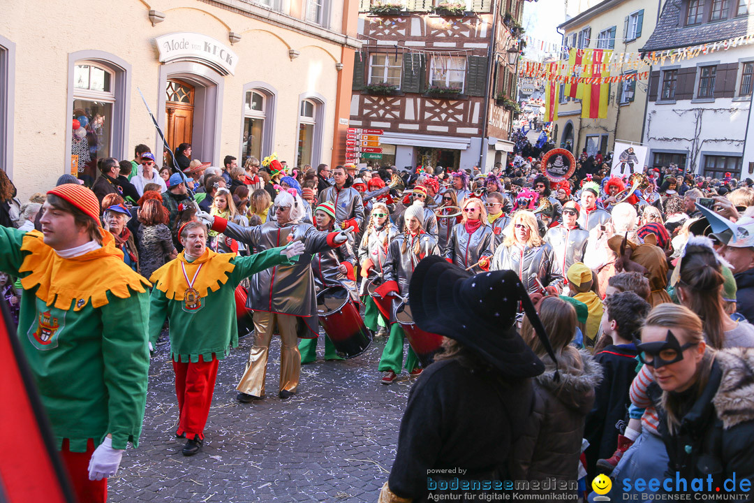 Narrensprung - Narrenbaumsetzen: Meersburg am Bodensee, 23.02.2014