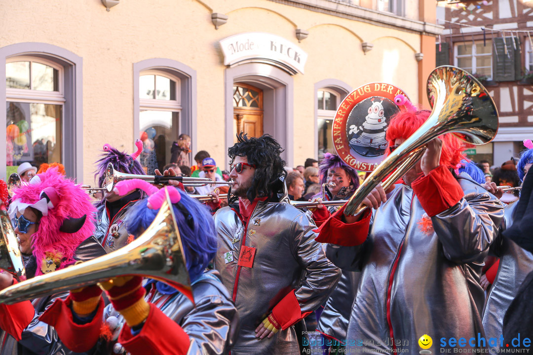 Narrensprung - Narrenbaumsetzen: Meersburg am Bodensee, 23.02.2014