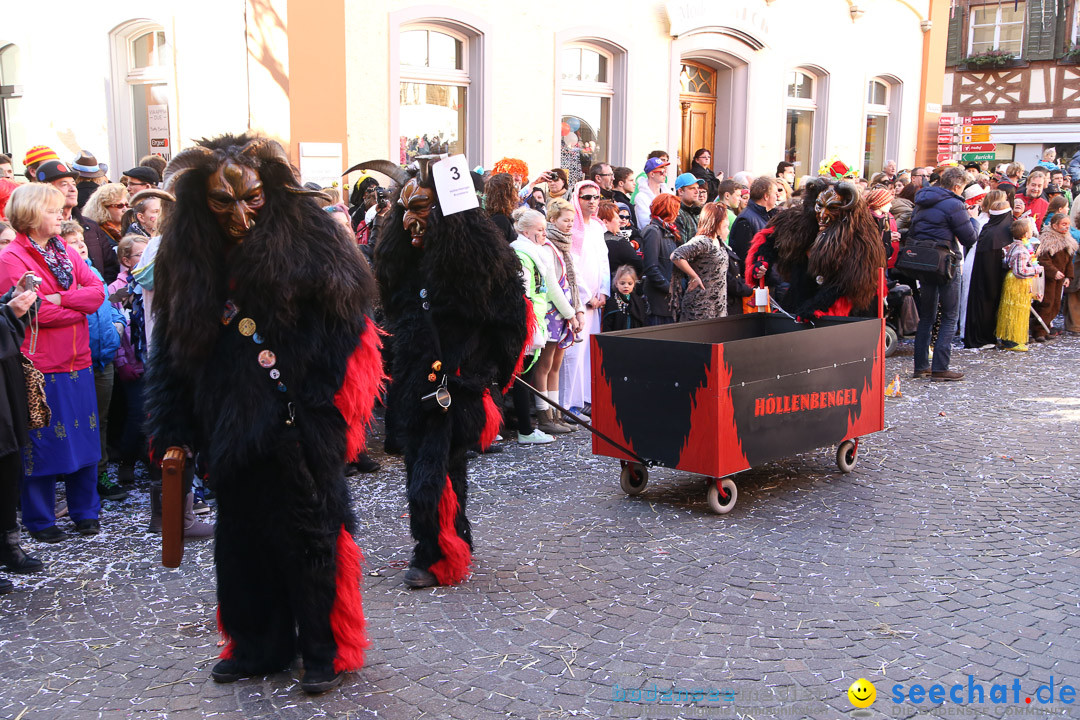 Narrensprung - Narrenbaumsetzen: Meersburg am Bodensee, 23.02.2014