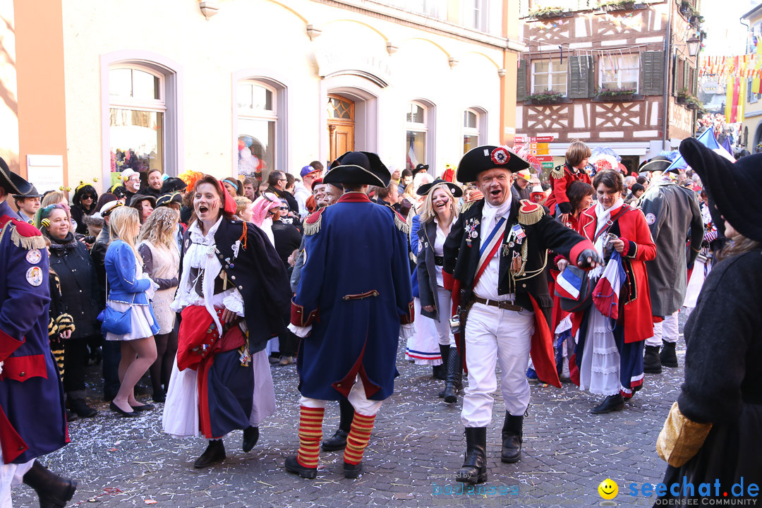 Narrensprung - Narrenbaumsetzen: Meersburg am Bodensee, 23.02.2014