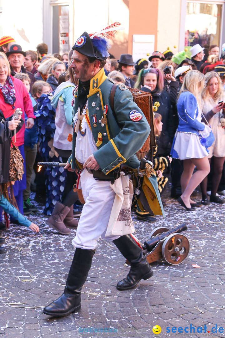 Narrensprung - Narrenbaumsetzen: Meersburg am Bodensee, 23.02.2014