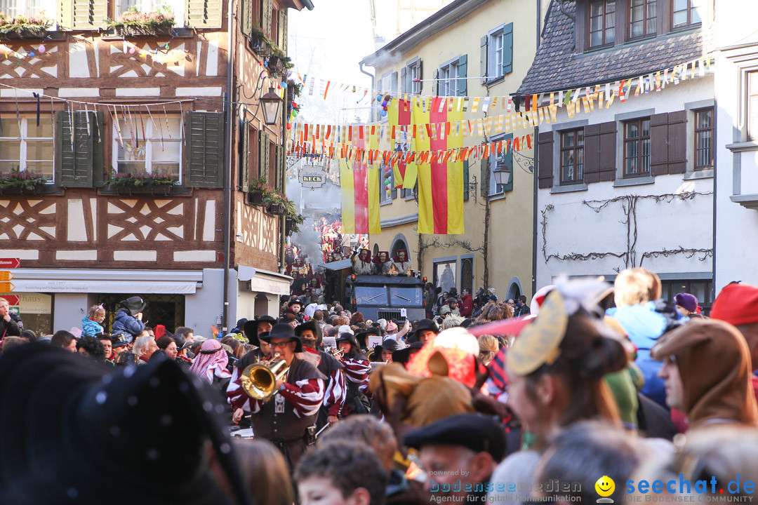 Narrensprung - Narrenbaumsetzen: Meersburg am Bodensee, 23.02.2014