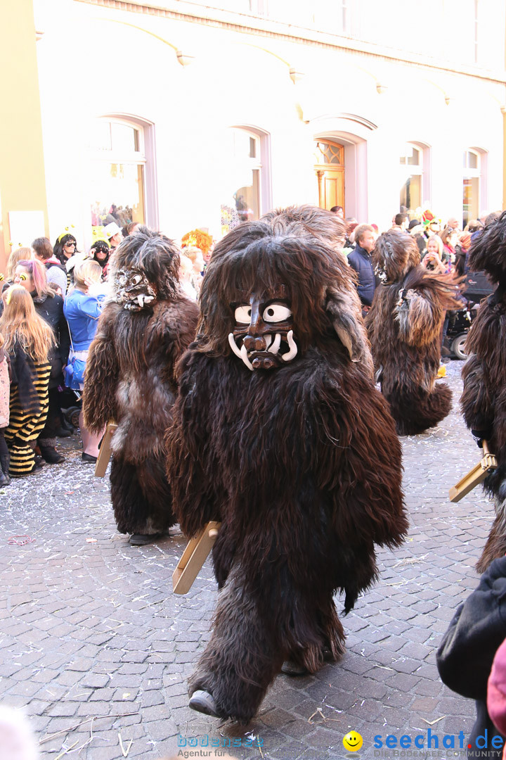 Narrensprung - Narrenbaumsetzen: Meersburg am Bodensee, 23.02.2014