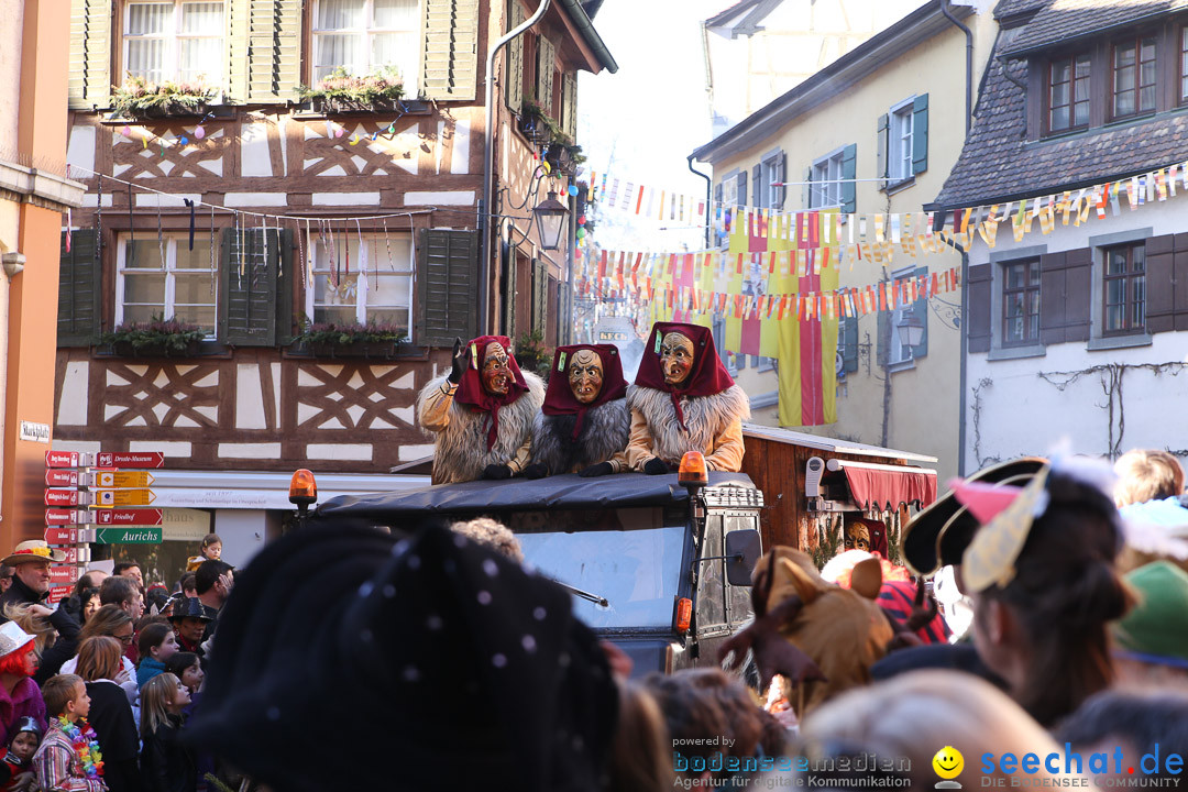 Narrensprung - Narrenbaumsetzen: Meersburg am Bodensee, 23.02.2014