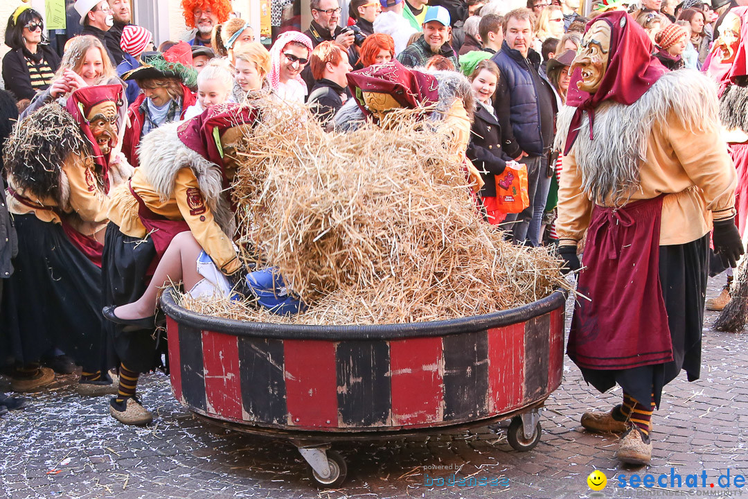 Narrensprung - Narrenbaumsetzen: Meersburg am Bodensee, 23.02.2014