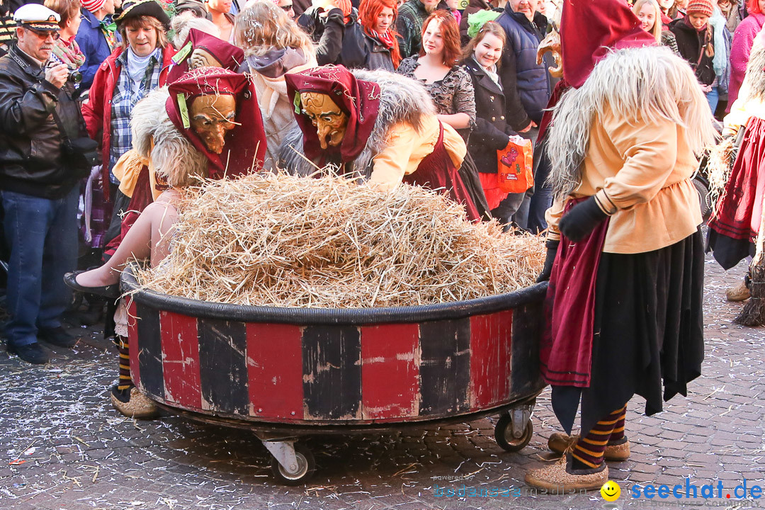 Narrensprung - Narrenbaumsetzen: Meersburg am Bodensee, 23.02.2014