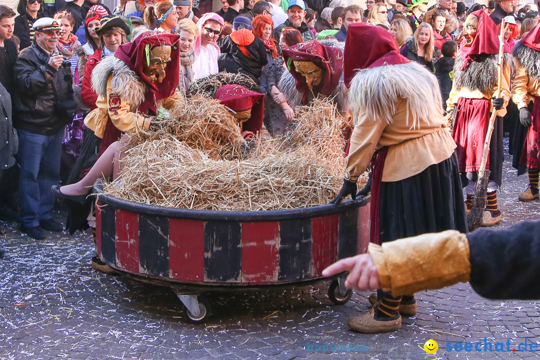 Narrensprung - Narrenbaumsetzen: Meersburg am Bodensee, 23.02.2014