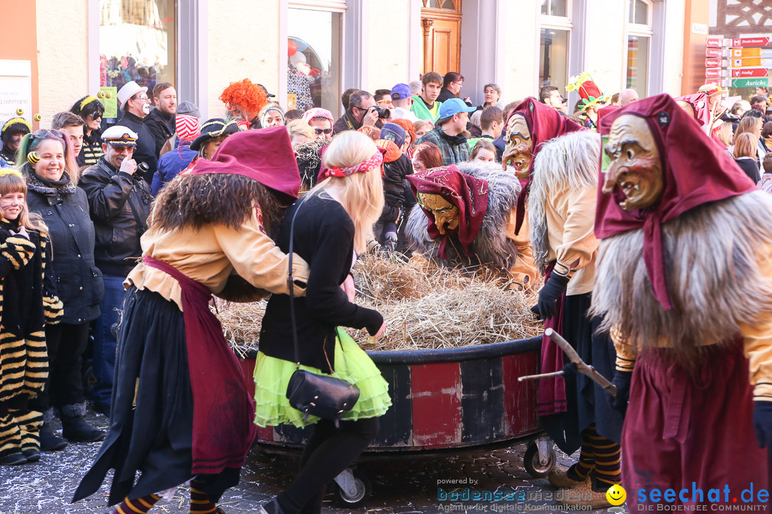 Narrensprung - Narrenbaumsetzen: Meersburg am Bodensee, 23.02.2014