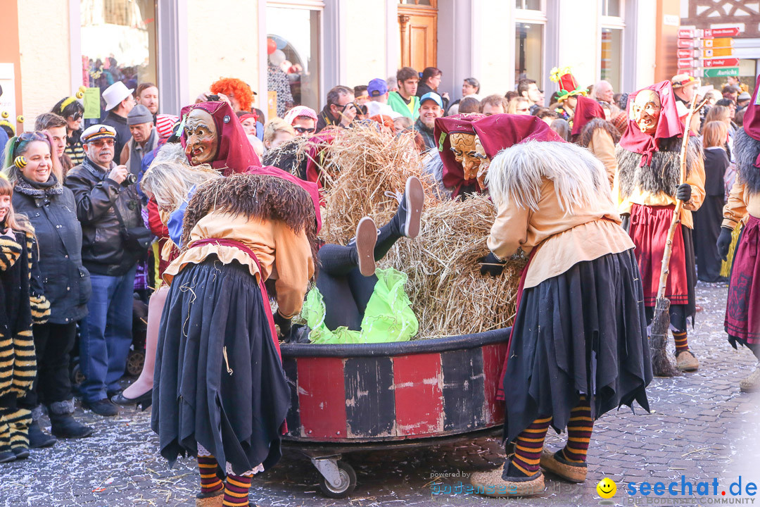 Narrensprung - Narrenbaumsetzen: Meersburg am Bodensee, 23.02.2014