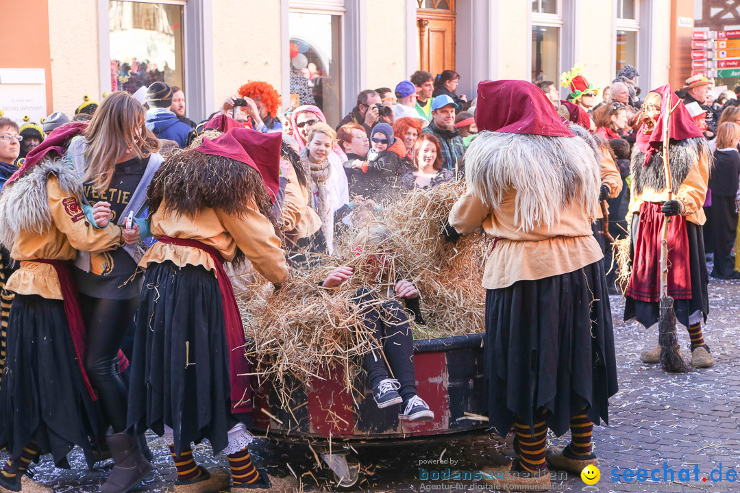 Narrensprung - Narrenbaumsetzen: Meersburg am Bodensee, 23.02.2014