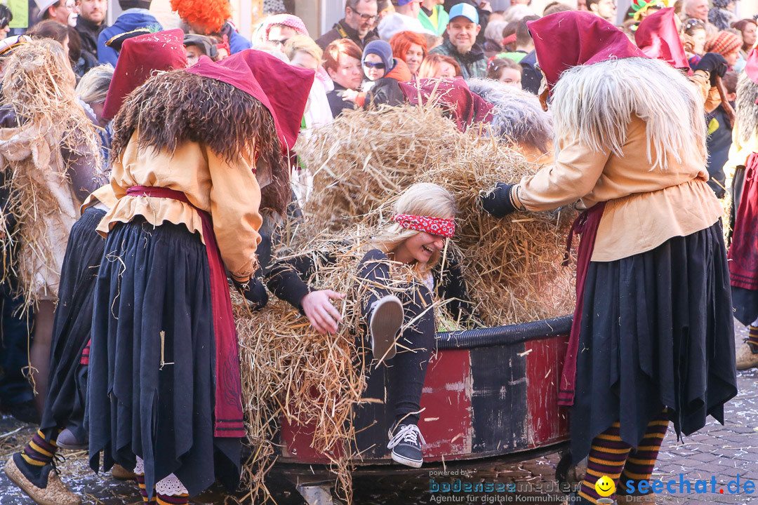 Narrensprung - Narrenbaumsetzen: Meersburg am Bodensee, 23.02.2014