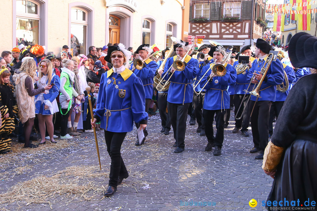 Narrensprung - Narrenbaumsetzen: Meersburg am Bodensee, 23.02.2014