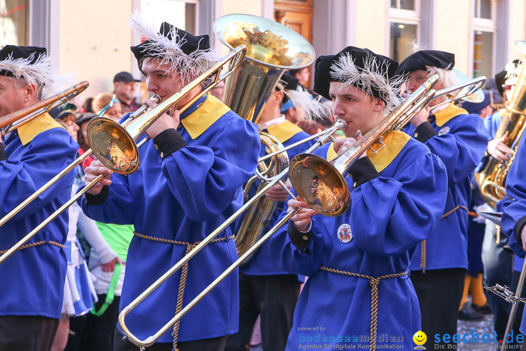 Narrensprung - Narrenbaumsetzen: Meersburg am Bodensee, 23.02.2014