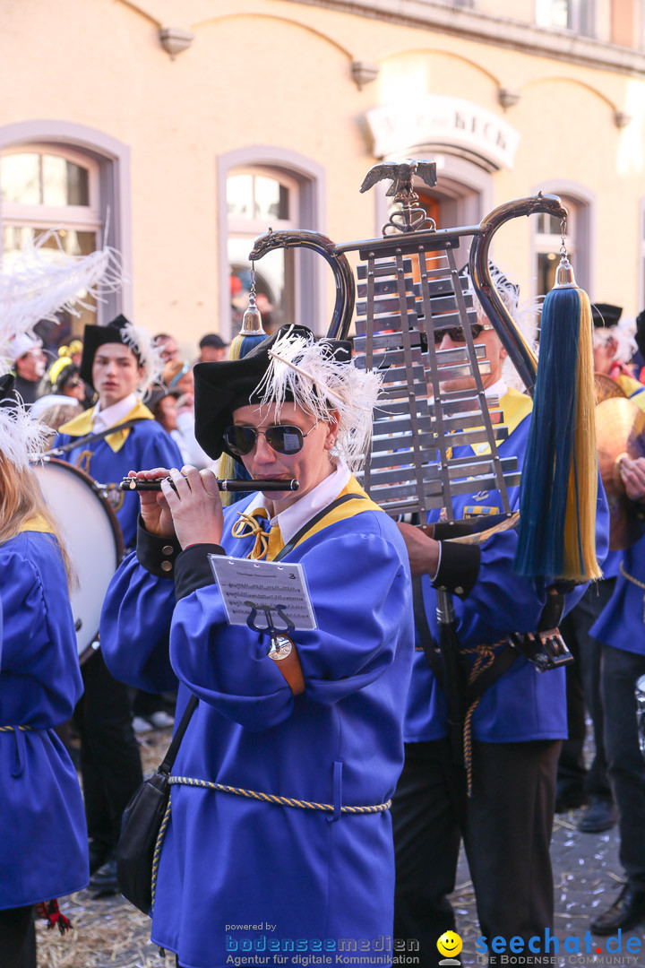 Narrensprung - Narrenbaumsetzen: Meersburg am Bodensee, 23.02.2014