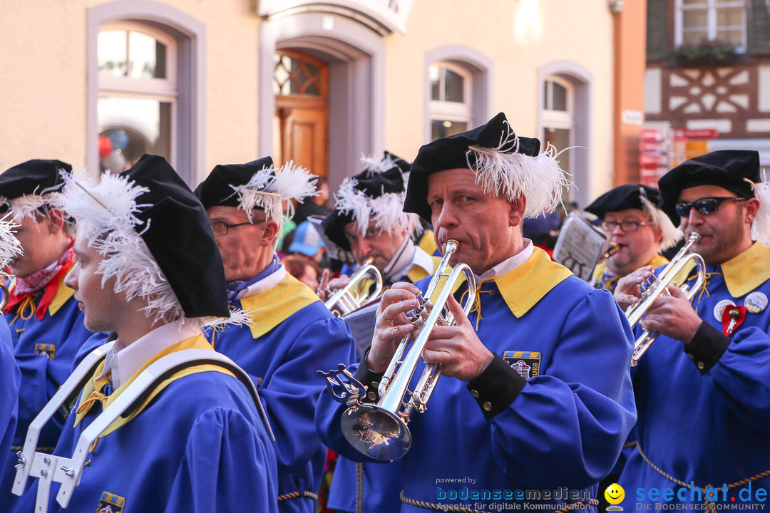 Narrensprung - Narrenbaumsetzen: Meersburg am Bodensee, 23.02.2014