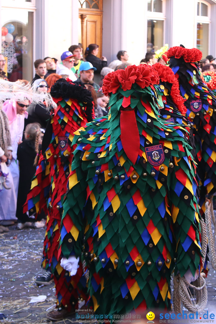 Narrensprung - Narrenbaumsetzen: Meersburg am Bodensee, 23.02.2014