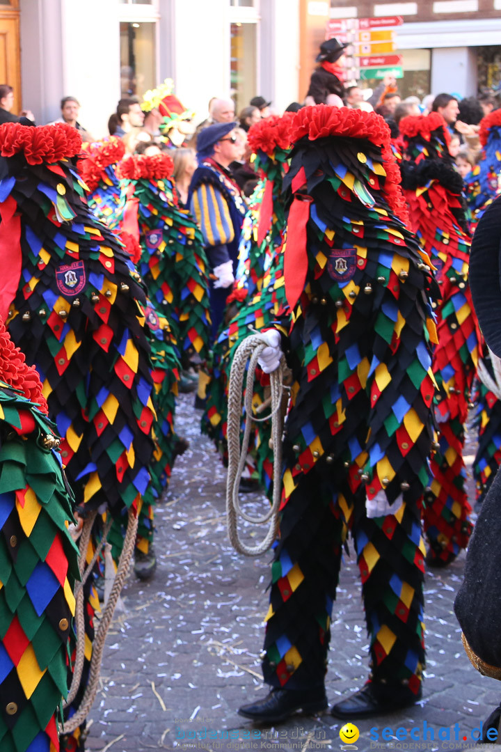 Narrensprung - Narrenbaumsetzen: Meersburg am Bodensee, 23.02.2014