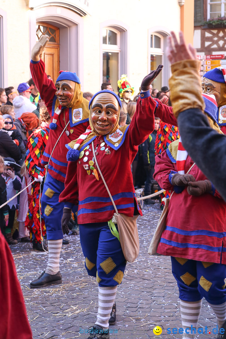 Narrensprung - Narrenbaumsetzen: Meersburg am Bodensee, 23.02.2014