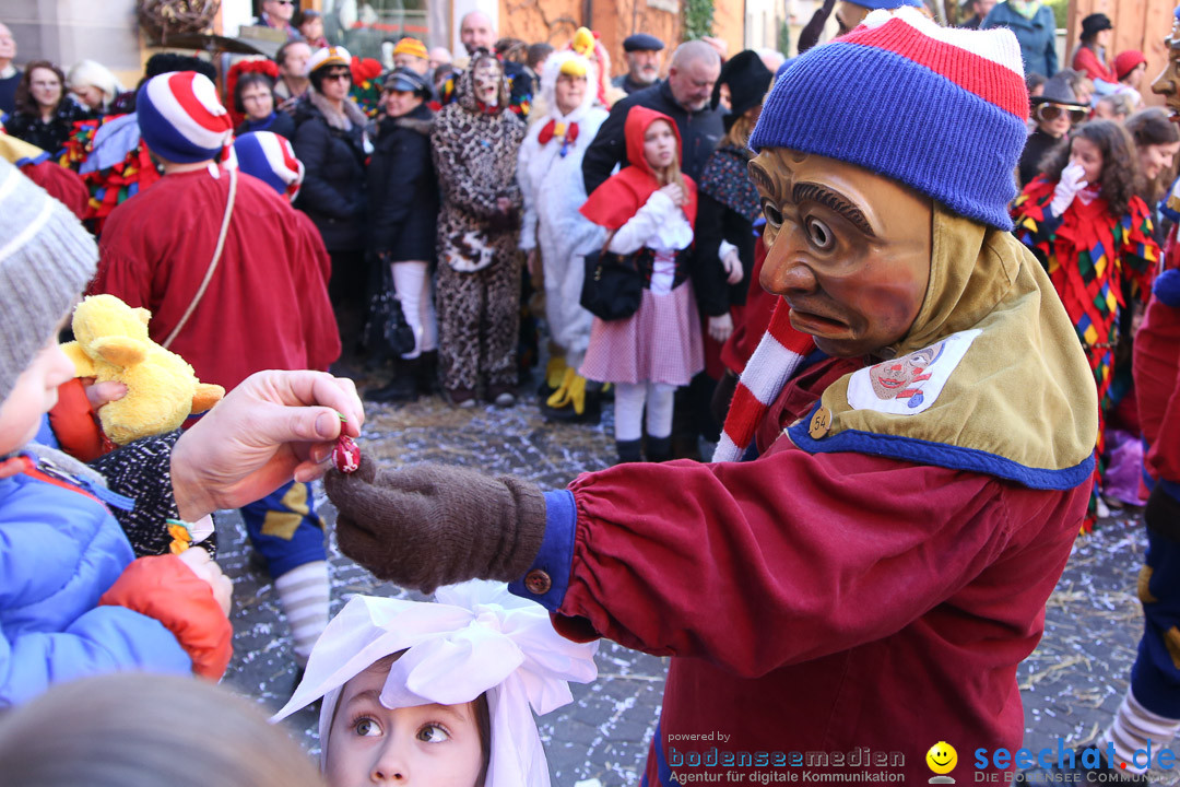 Narrensprung - Narrenbaumsetzen: Meersburg am Bodensee, 23.02.2014