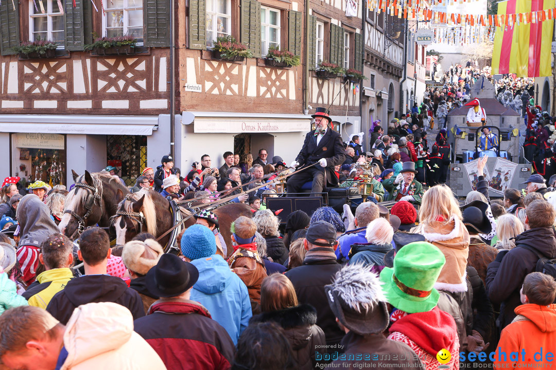 Narrensprung - Narrenbaumsetzen: Meersburg am Bodensee, 23.02.2014