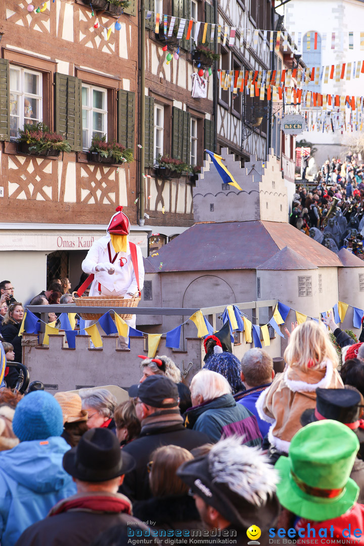 Narrensprung - Narrenbaumsetzen: Meersburg am Bodensee, 23.02.2014