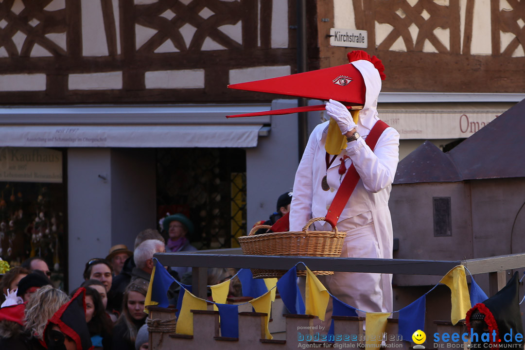 Narrensprung - Narrenbaumsetzen: Meersburg am Bodensee, 23.02.2014