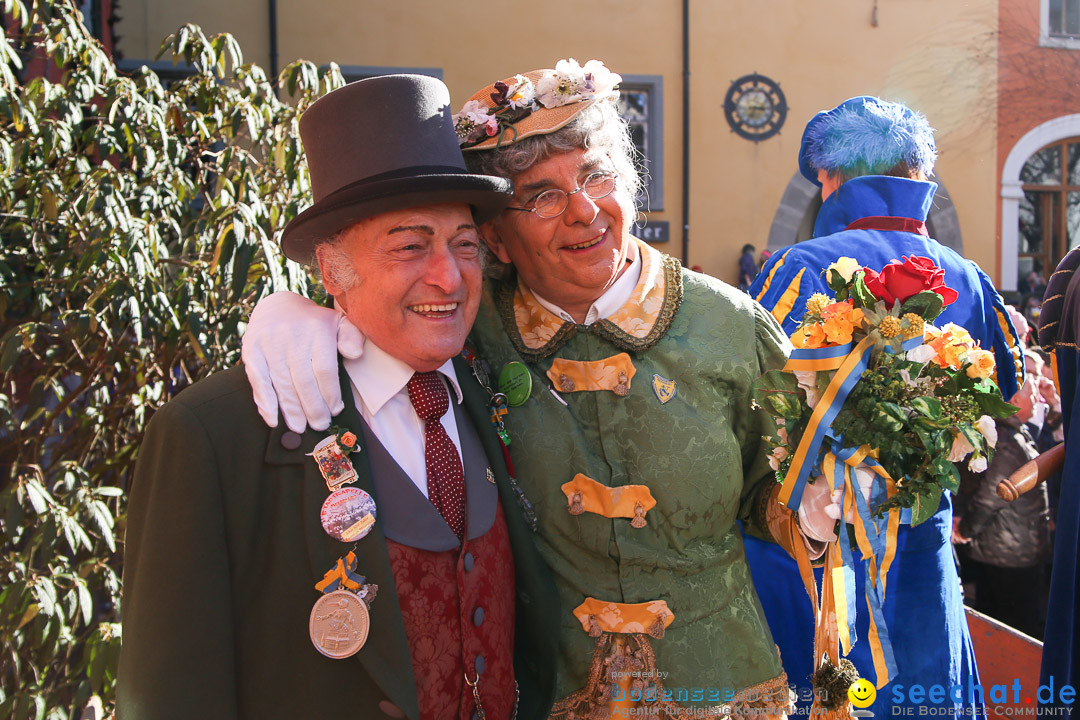 Narrensprung - Narrenbaumsetzen: Meersburg am Bodensee, 23.02.2014