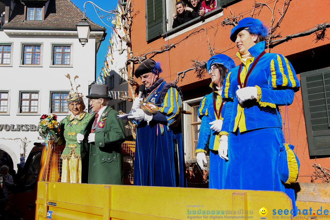 Narrensprung - Narrenbaumsetzen: Meersburg am Bodensee, 23.02.2014