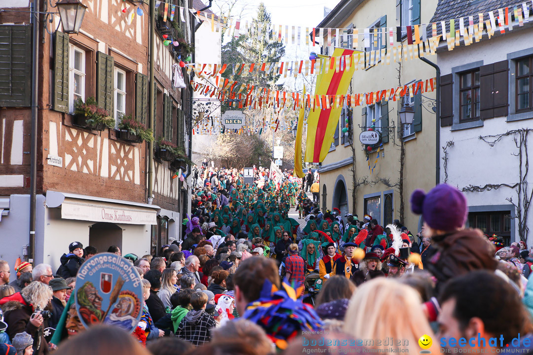 Narrensprung - Narrenbaumsetzen: Meersburg am Bodensee, 23.02.2014