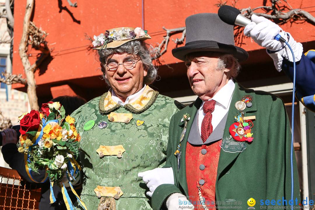 Narrensprung - Narrenbaumsetzen: Meersburg am Bodensee, 23.02.2014