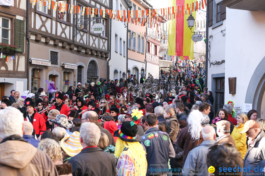 Narrensprung - Narrenbaumsetzen: Meersburg am Bodensee, 23.02.2014