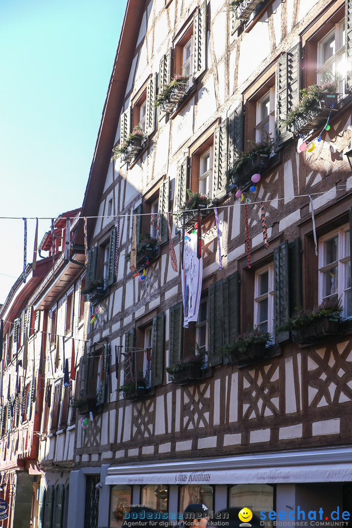 Narrensprung - Narrenbaumsetzen: Meersburg am Bodensee, 23.02.2014