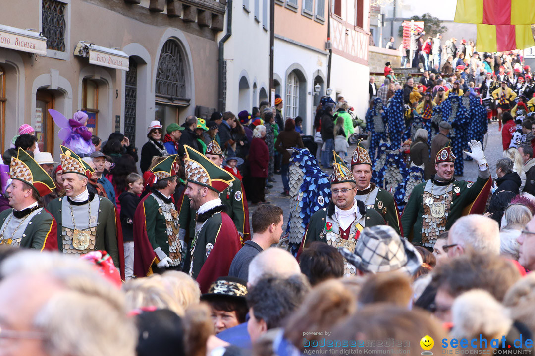 Narrensprung - Narrenbaumsetzen: Meersburg am Bodensee, 23.02.2014