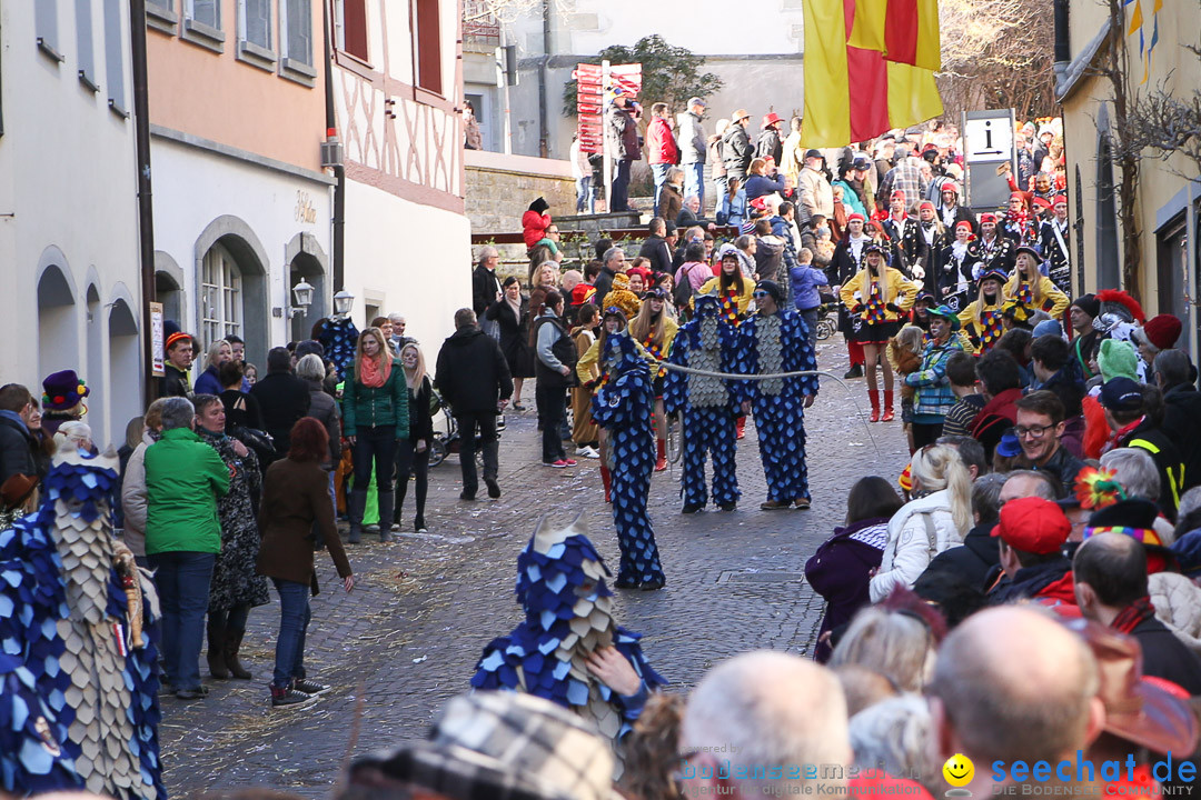 Narrensprung - Narrenbaumsetzen: Meersburg am Bodensee, 23.02.2014