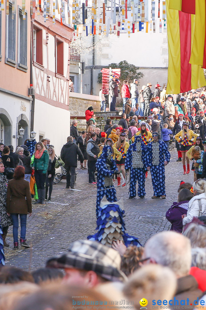 Narrensprung - Narrenbaumsetzen: Meersburg am Bodensee, 23.02.2014