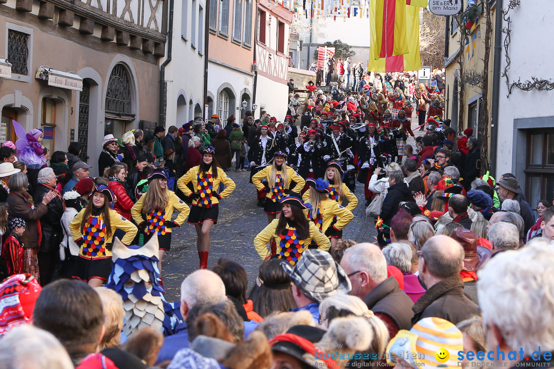 Narrensprung - Narrenbaumsetzen: Meersburg am Bodensee, 23.02.2014