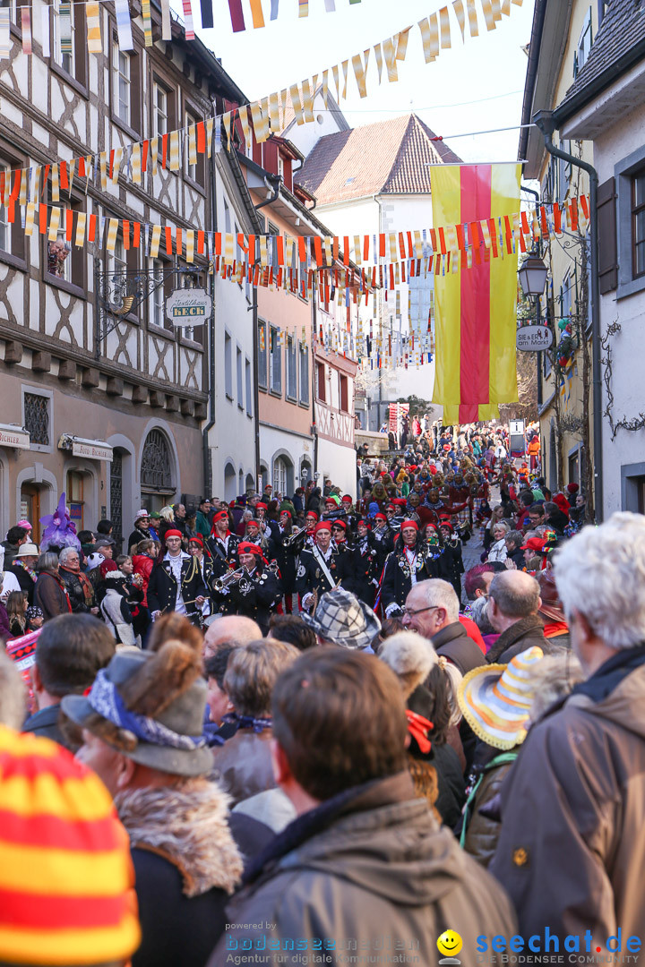 Narrensprung - Narrenbaumsetzen: Meersburg am Bodensee, 23.02.2014