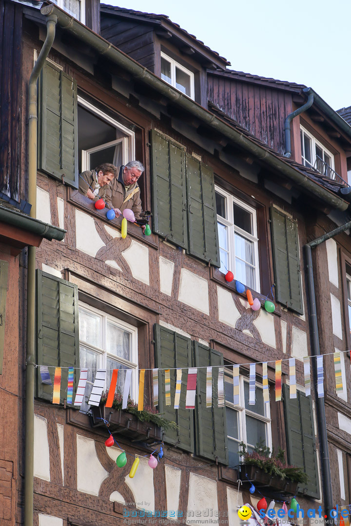 Narrensprung - Narrenbaumsetzen: Meersburg am Bodensee, 23.02.2014