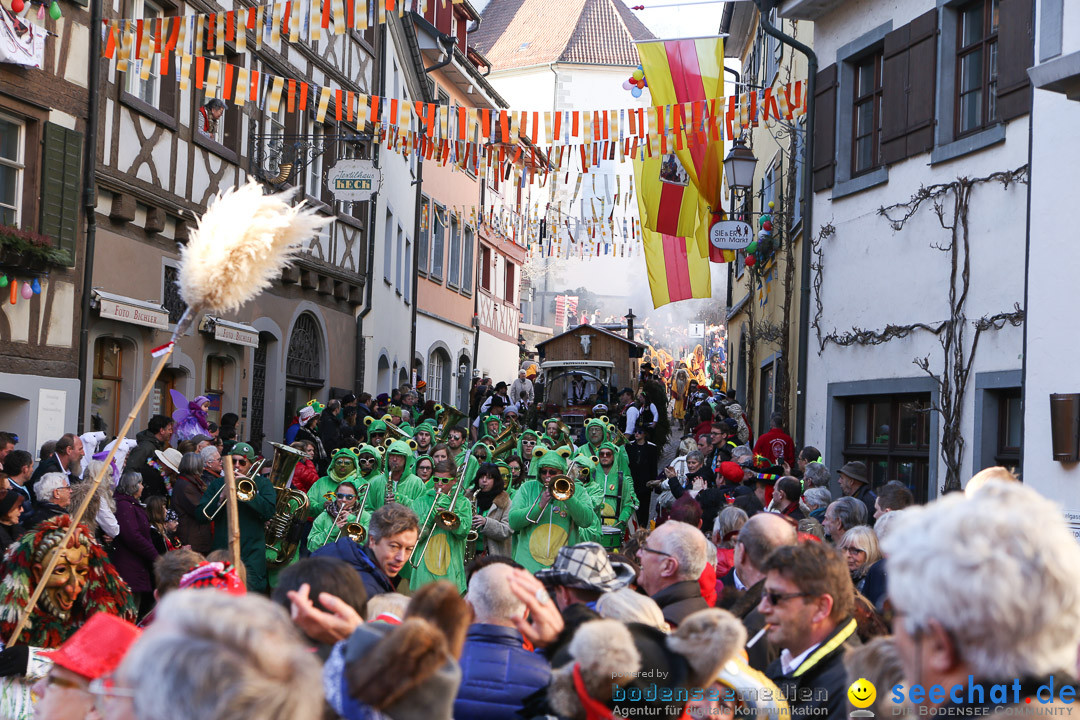 Narrensprung - Narrenbaumsetzen: Meersburg am Bodensee, 23.02.2014