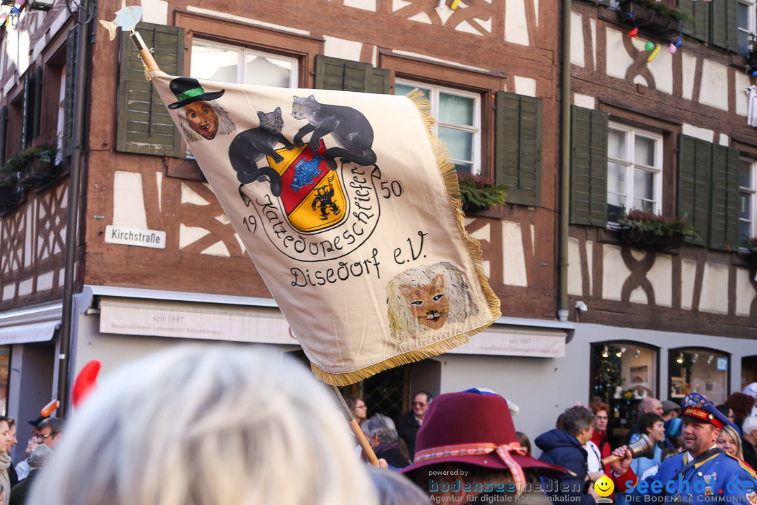 Narrensprung - Narrenbaumsetzen: Meersburg am Bodensee, 23.02.2014