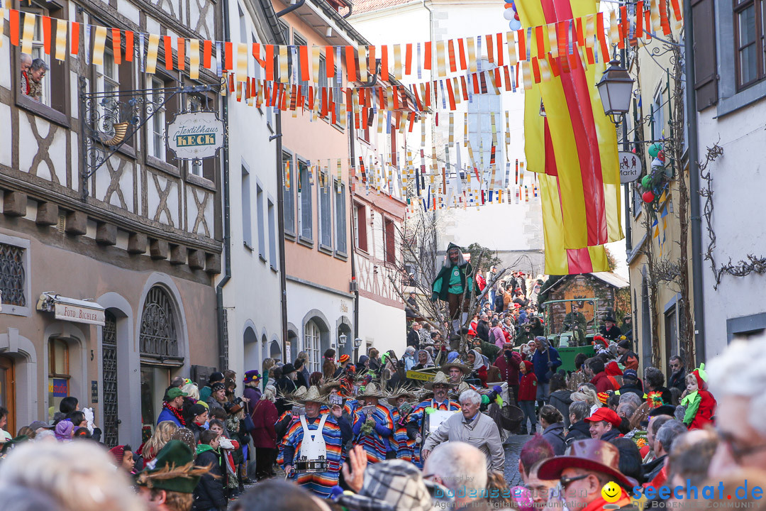 Narrensprung - Narrenbaumsetzen: Meersburg am Bodensee, 23.02.2014