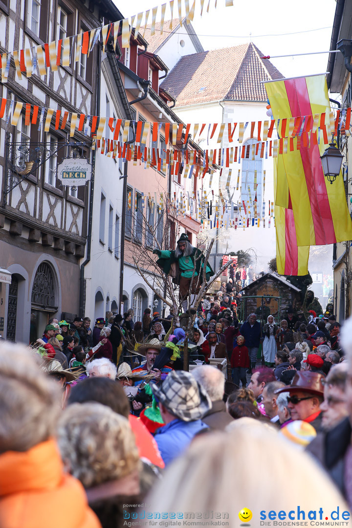 Narrensprung - Narrenbaumsetzen: Meersburg am Bodensee, 23.02.2014