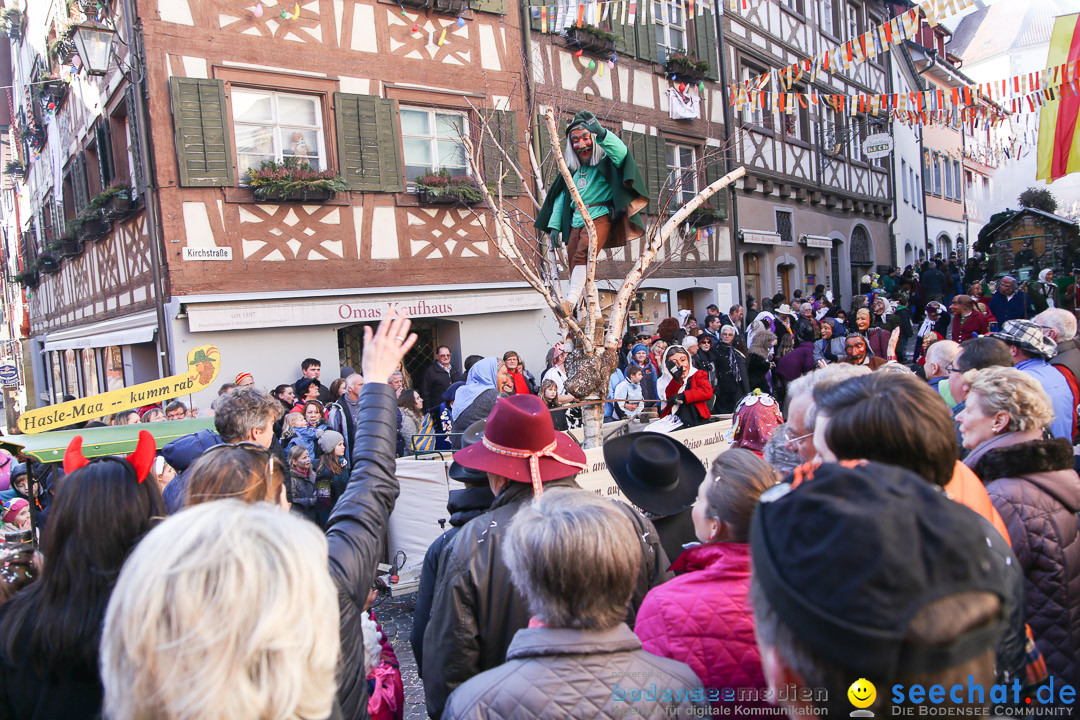 Narrensprung - Narrenbaumsetzen: Meersburg am Bodensee, 23.02.2014